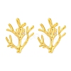 Ion Plating(IP) 304 Stainless Steel Tree Branch Stud Earrings EJEW-D281-08G-1