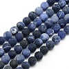 Frosted Natural Sodalite Round Bead Strands G-M064-8mm-01-1