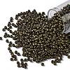 TOHO Round Seed Beads SEED-JPTR08-0702-1