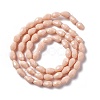Faceted Glass Beads Strands GLAA-E037-02A-2