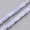 Natural Shell Bead Strands BSHE-P016-04-1