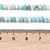 Natural Howlite Beads Strands G-H025-03D-09-5