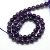 Natural Amethyst Round Bead Strands G-L170-8mm-01-2