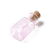 Rectangle Miniature Glass Bottles GLAA-H019-06G-2