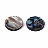 Natural Abalone Shell/Paua Shell Beads SSHEL-T014-14E-2