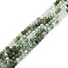 Natural Green Rutilated Quartz Beads Strands G-P457-A02-26-1