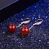 Round Imitation Agate Dangle Earrings for Girl Women EJEW-BB46369-A-2