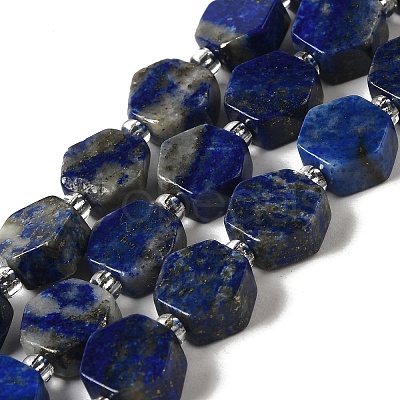 Natural Lapis Lazuli Beads Strands G-P534-A12-02-1