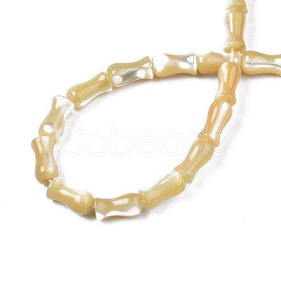 Natural Trochid Shell/Trochus Shell Beads Strands SSHEL-N034-122-A01-1