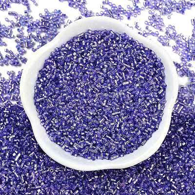 Baking Paint Silver Lined Glass Seed Beads SEED-H003-09G-1