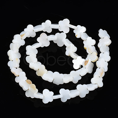 Freshwater Shell Beads Strands SHEL-T009-A18-1