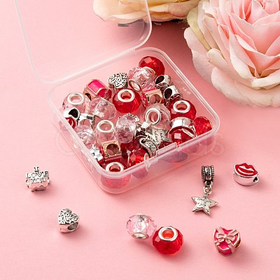 DIY Valentine's Day Themed Jewelry Making Kits DIY-LS0001-86-1