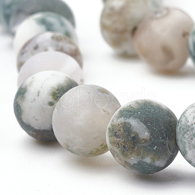 Natural Tree Agate Beads Strands G-T106-036-1