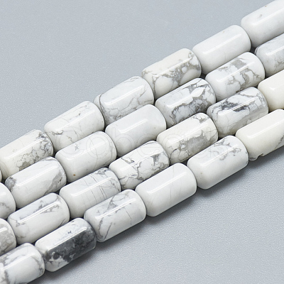 Natural Howlite Bead Strands G-T078-14-1