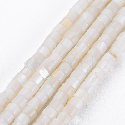 Natural Freshwater Shell Beads Strands SHEL-N027-09-1