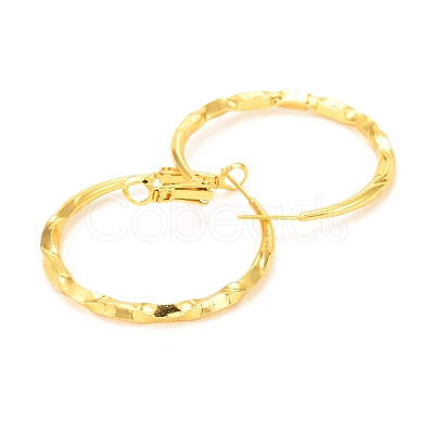 Brass Hoop Earrings EJEW-F273-03G-1