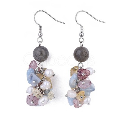 Natural Mixed Stone Dangle Earrings EJEW-JE03228-02-1