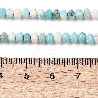 Natural Howlite Beads Strands G-H025-03D-09-1