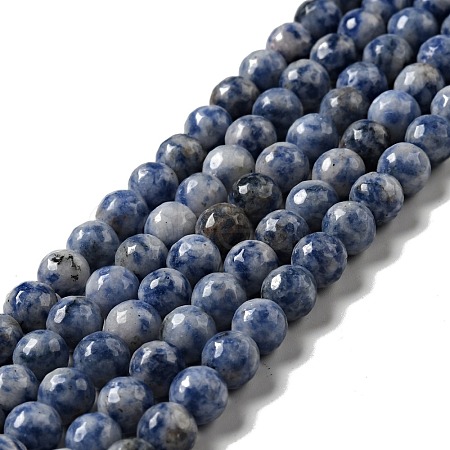 Natural Blue Spot Jasper Beads Strands G-P476-01C-02-1
