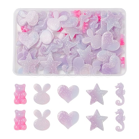   60Pcs 5 Style Opaque Resin Cabochons CRES-PH0003-40-1