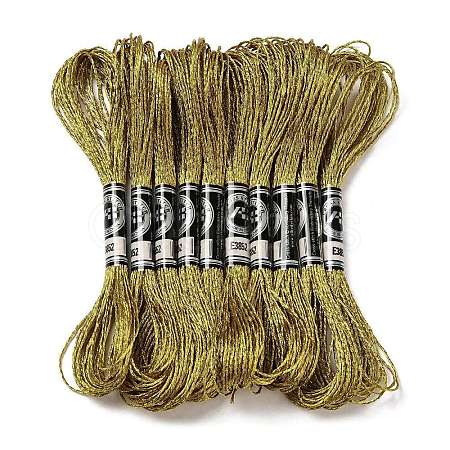 10 Skeins 12-Ply Metallic Polyester Embroidery Floss OCOR-Q057-A06-1