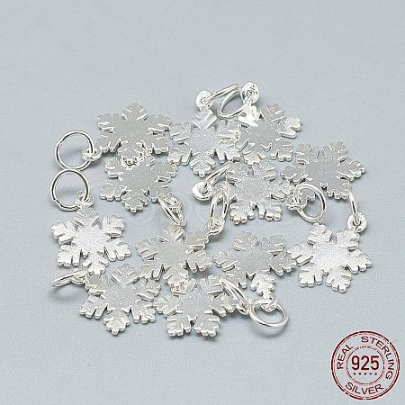 925 Sterling Silver Charms X-STER-T002-290S-1