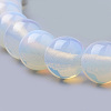 Opalite Beads Strands X-G-S259-48-12mm-3