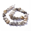 Natural Fossil Coral Beads Strands G-L505-21-3
