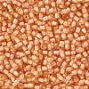 TOHO Round Seed Beads SEED-JPTR11-0391-2