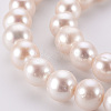 Natural Cultured Freshwater Pearl Beads Strands PEAR-S012-72-3