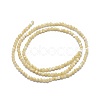Shell Beads Strands G-A177-04-26-2