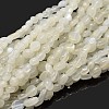 Natural White Moonstone Nuggets Beads Strands X-G-J335-45-1