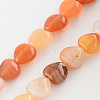Dyed Natural Red Agate Bead Strands G-R190-09-1