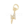 Rack Plating Brass Micro Pave Clear Cubic Zirconia Charms X-KK-Z060-14G-1