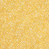 11/0 Grade A Transparent Glass Seed Beads X-SEED-N001-E-302-2
