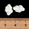 K9 Glass Cabochons GGLA-Z003-11B-001JW-3