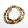 Round Natural Crazy Lace Agate Beads Strands X-G-P058C-01-1