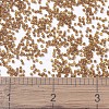 MIYUKI Delica Beads SEED-X0054-DB1391-3