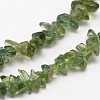Chips Natural Green Apatite Beads Strands X-G-N0164-26-2