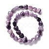 Natural Lepidolite/Purple Mica Stone Beads Strands G-B022-03-2