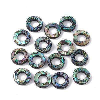 Natural Abalone Shell/Paua Shell Beads SSHEL-M021-06-1