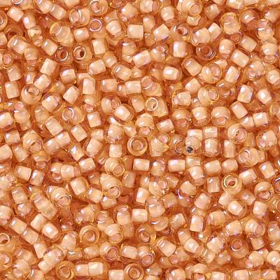 TOHO Round Seed Beads SEED-JPTR11-0391-1