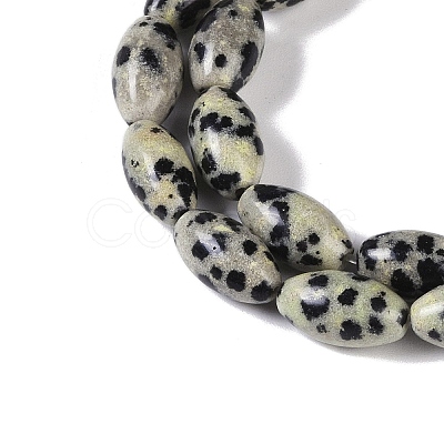 Natural Dalmatian Jasper Beads Strands G-K362-I14-06-1