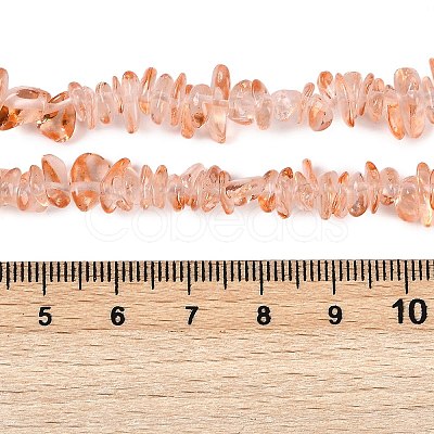 Transparent Glass Beads Strands GLAA-Z009-01L-1