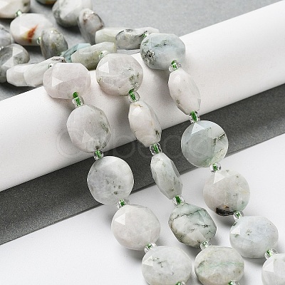 Natural Tree Agate Beads Strands G-NH0004-017-1