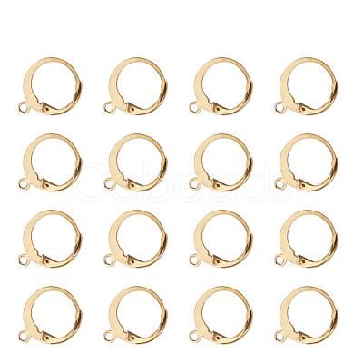 304 Stainless Steel Leverback Earring Findings STAS-G081-62G-1