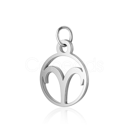 Non-Tarnish 304 Stainless Steel Charms STAS-T036-T513-A1-1