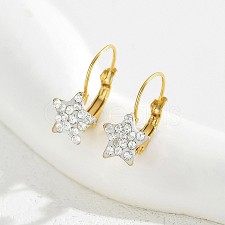 Fashionable European Style Stainless Steel Cubic Zirconia Leverback Earrings for Women AW1302-1