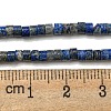 Natural Lapis Lazuli Beads Strands G-C084-D12-02-5