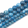 Natural Apatite Beads Strands G-S333-6mm-012-2